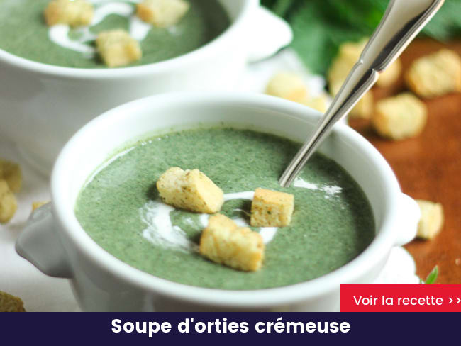 Soupe d'orties crémeuse